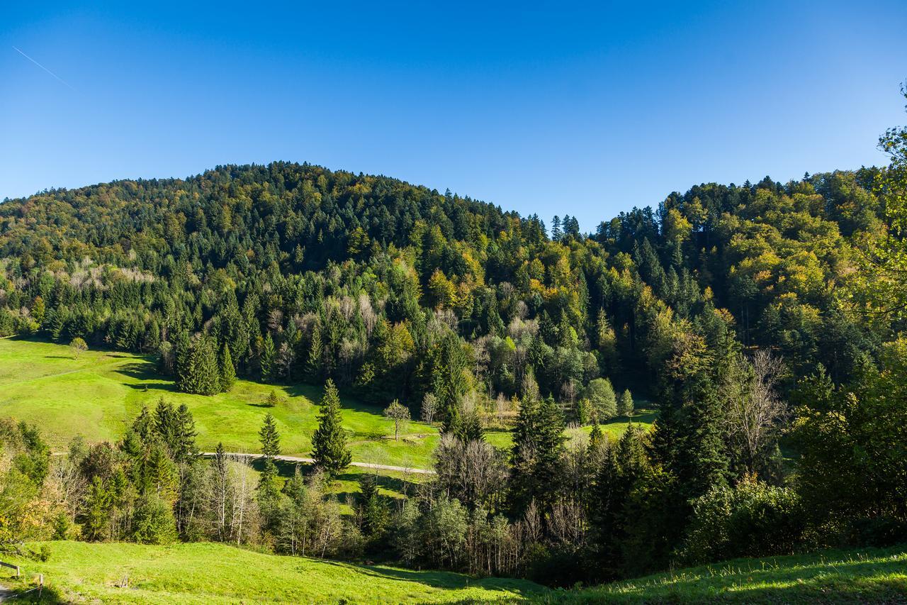 Hotel Bad Rain Mit Oberstaufen Plusgolf Eksteriør billede